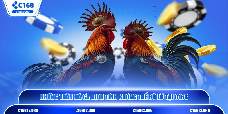 Những trận đá gà kịch tính không thể bỏ lỡ tại C168